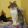 Отзыв от Ксения Глухова